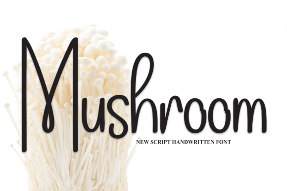 Enhance Your Campaigns with the Mushroom Font