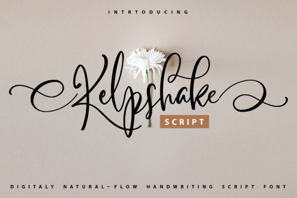 Kelpshake: The Perfect Script Font for Authentic Brand Identity