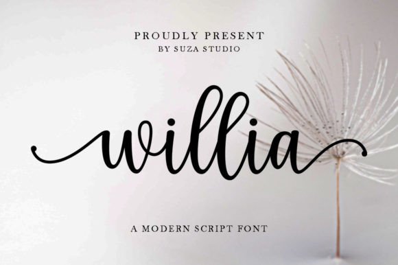Willia Script Font for Editorial Design