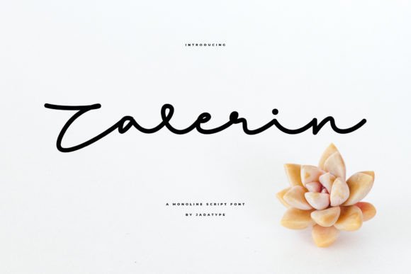 Zalerin: A Simple Font That Transformed My Brand’s Look